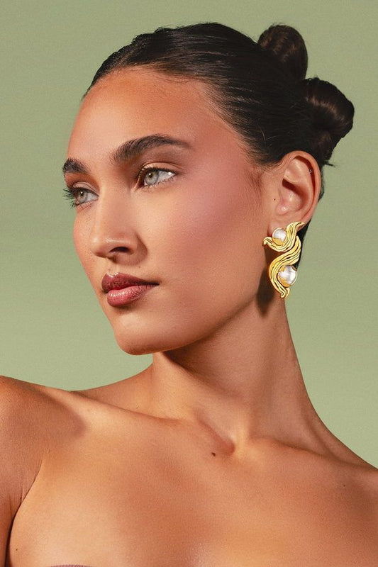 Pendientes Meteorite